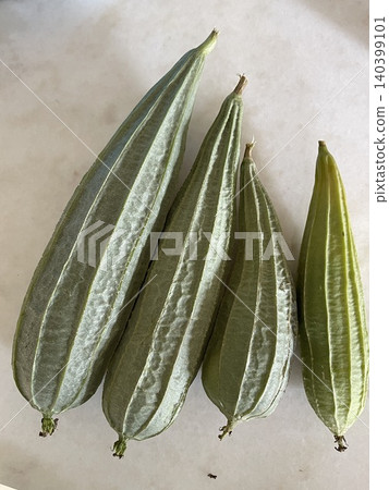 Fresh Green Ridged Gourds on White Surface Fresh Green Ridged Gourds on White Surface 140399101