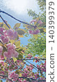 Sunny weather, flowers, and leaves 140399379