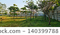 Young park beside a concrete wall 140399788