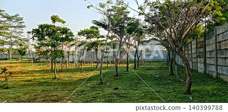 Young park beside a concrete wall Young park beside a concrete wall 140399788