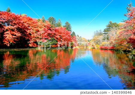 Autumn leaves of the cloud pool pond Autumn leaves of the cloud pool pond 140399846
