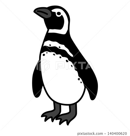 Penguin (Magellanic penguin) Penguin (Magellanic penguin) 140400620