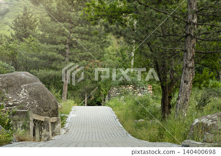 Scenic stone walkway in a nature reserve surrounded by pine trees Scenic stone walkway in a nature reserve surrounded by pine trees 140400698