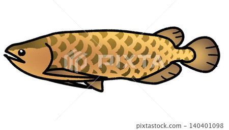 asian arowana 140401098