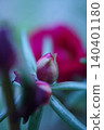 Bud 140401180