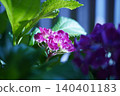Beautiful flowers 140401183