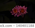Pink flowers 140401188