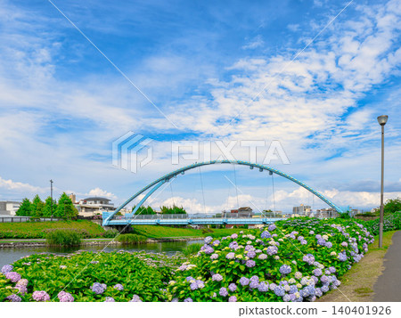 Hydrangeas and the Bridge of Interaction 140401926