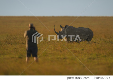 Man stands photographing black rhino on savanna Man stands photographing black rhino on savanna 140402073