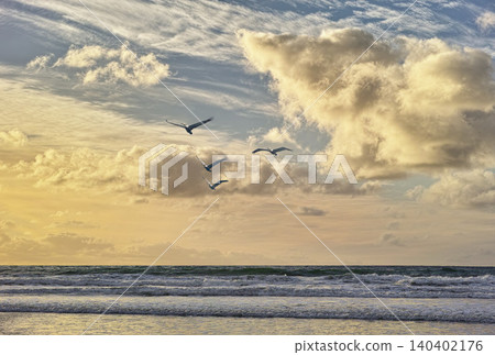 Beach, ocean and birds with blue sky, clouds and water on shoreline with sunshine. Waves, sunrise and dawn in seaside San Diego, coastal migration or moving of animals and horizon outdoors in nature Beach, ocean and birds with blue sky, clouds and water on shoreline with sunshine. Waves, sunrise and dawn in seaside San Diego, coastal migration or moving of animals and horizon outdoors in nature 140402176
