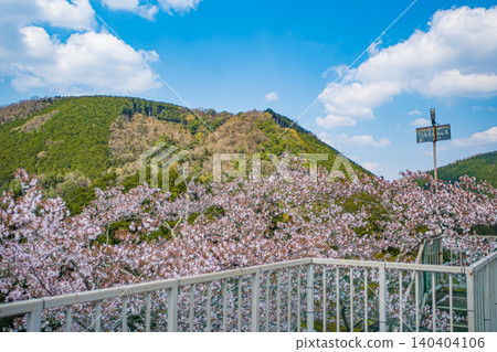 Hiroshima, Miyoshi, Ozekiyama, Sakura Hiroshima, Miyoshi, Ozekiyama, Sakura 140404106