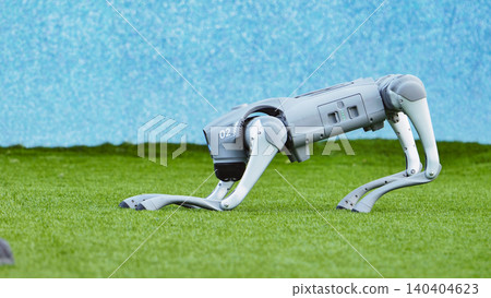 Robot dog stretching on green grass, depicting artificial intelligence and robotics Robot dog stretching on green grass, depicting artificial intelligence and robotics 140404623