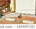 Landscape with a cat 140405181