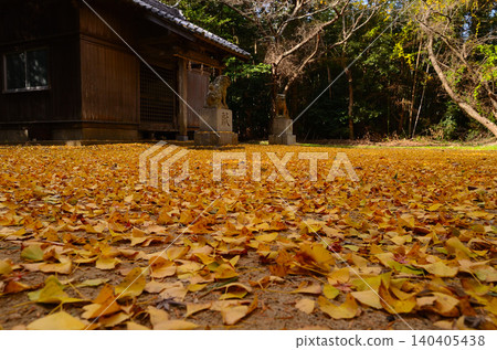Autumn leaves at Wakahachiman Shrine Autumn leaves at Wakahachiman Shrine 140405438