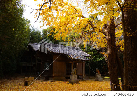 若八幡神社的秋葉 140405439