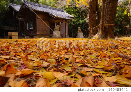 若八幡神社的秋葉 140405441