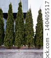 green hedge of thuja trees, 140405517