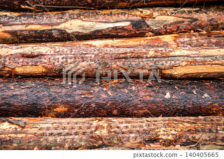 Agriculture and forestry. Trunk pine tree log background. Timber product warehouse. Wood lumber material. Softwood lumber. Wood log, timber logging. Environmental issues. Logging timber. Timber log Agriculture and forestry. Trunk pine tree log background. Timber product warehouse. Wood lumber material. Softwood lumber. Wood log, timber logging. Environmental issues. Logging timber. Timber log 140405665