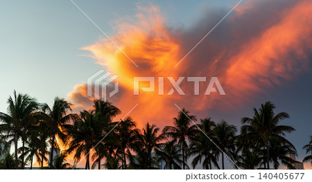 Summer vacation in Miami south beach, Florida. Palm tree on sunny day. Tropical beach in Miami. Tropical outdoor scene with palm tree. Tropical summer vacation. Palm tree 140405677