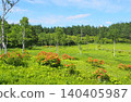 A wetland (Irikasa Wetland) that is transitioning into a forest. 140405987