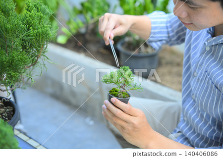 Cropped shot man making bonsai pruning with precision care and craftsmanship Cropped shot man making bonsai pruning with precision care and craftsmanship 140406086
