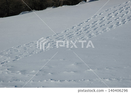Snowshoe Tracks on Mountain Slope in Brunnach Snowshoe Tracks on Mountain Slope in Brunnach 140406296