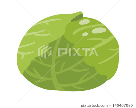 可愛的手繪捲心菜插圖 可愛的手繪捲心菜插圖 140407080
