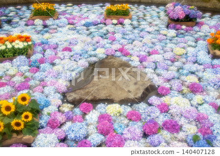 開成町繡球花節 - 繡球花池 140407128