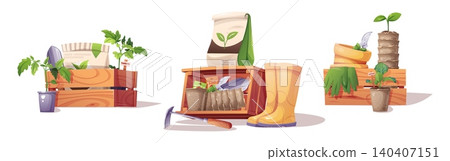 Set of Gardening Compositions with tomato and cabbage seedlings in wooden crates, soil bags, yellow rubber boots, peat pots and gardening tools on white background. Suitable for garden design and Set of Gardening Compositions with tomato and cabbage seedlings in wooden crates, soil bags, yellow rubber boots, peat pots and gardening tools on white background. Suitable for garden design and 140407151