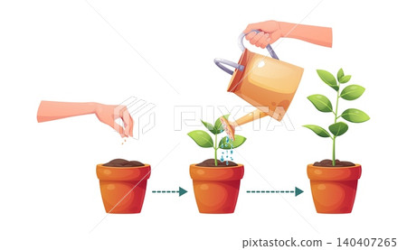 Gardening life cycle infographic illustration. Planting seeds, watering a sprout with a watering can, and a grown seedling in terracotta pots connected by arrows on a white background. Perfect for Gardening life cycle infographic illustration. Planting seeds, watering a sprout with a watering can, and a grown seedling in terracotta pots connected by arrows on a white background. Perfect for 140407265