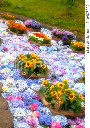 開成町繡球花節 - 繡球花池 開成町繡球花節 - 繡球花池 140407322