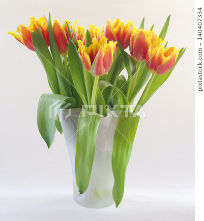 orange-yellow parrot tulips in a vase orange-yellow parrot tulips in a vase 140407334