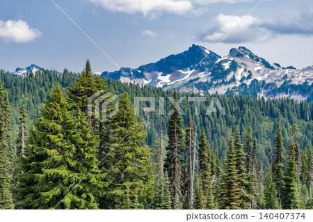 Hill landscape with forest. Nature mountain forest. Green forest wood landscape in mountain. Nature of mixed forest. Landscape of scenery nature. Scenic landscape woodland. Pine scented air Hill landscape with forest. Nature mountain forest. Green forest wood landscape in mountain. Nature of mixed forest. Landscape of scenery nature. Scenic landscape woodland. Pine scented air 140407374
