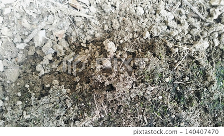 Dry Cloddy Soil Texture Background Close-Up Dry Cloddy Soil Texture Background Close-Up 140407470