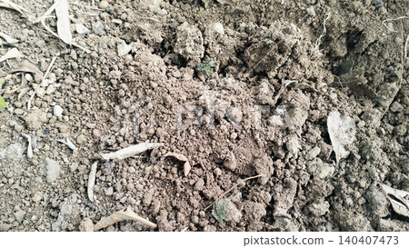 Dry Cloddy Soil Texture Background Close-Up Dry Cloddy Soil Texture Background Close-Up 140407473