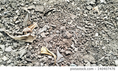 Dry Cloddy Soil Texture Background Close-Up Dry Cloddy Soil Texture Background Close-Up 140407476