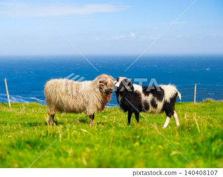 Typical Faroe Islands summer landscape with sheep grazing on green meadows by the ocean. Typical Faroe Islands summer landscape with sheep grazing on green meadows by the ocean. 140408107