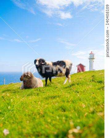 Faroe Islands summer landscape with sheep grazing on green meadows near a coastal lighthouse. Faroe Islands summer landscape with sheep grazing on green meadows near a coastal lighthouse. 140408109