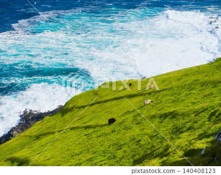 Typical summer landscape with vibrant green meadows by the ocean on Faroe Islands, Denmark.  140408123