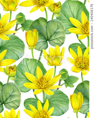 Watercolor seamless pattern with yellow lesser celandine (ficaria verna) flowers, buds and leaves. Hand-painted illustration for fabric, wallpaper, wrapping paper, stationery, packaging, textiles. Watercolor seamless pattern with yellow lesser celandine (ficaria verna) flowers, buds and leaves. Hand-painted illustration for fabric, wallpaper, wrapping paper, stationery, packaging, textiles. 140408176