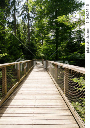Wooden treetop walkway in green forest landscape 140408646