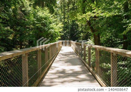 Wooden treetop walkway in green forest landscape 140408647