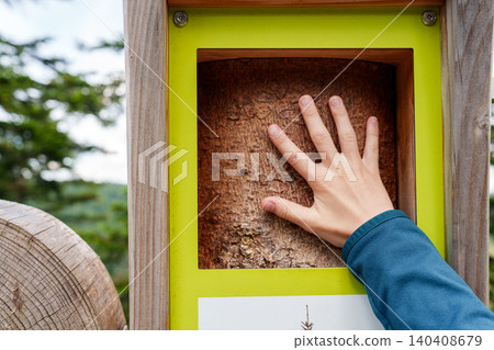 Hand touching tree bark on educational nature display Hand touching tree bark on educational nature display 140408679