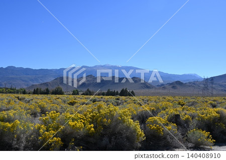 Yellow desert bushes blooming in valley field with mountain background. Yellow desert bushes blooming in valley field with mountain background. 140408910