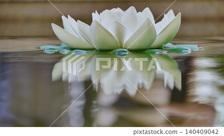 Serene white water lily with perfect reflection on calm pond water. Serene white water lily with perfect reflection on calm pond water. 140409042