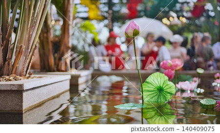 Pink lotus flower and green leaves emerging from water in Vietnam pond with tourists in background Pink lotus flower and green leaves emerging from water in Vietnam pond with tourists in background 140409075