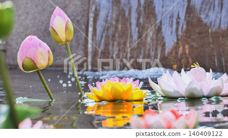 Colorful artificial lotus flowers floating on pond with small waterfall in background in Vietnam 140409122