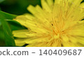 Macro photograph of a dandelion flower 140409687