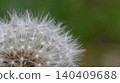 Macro photograph of dandelion fluff 140409688