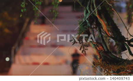 Growing roots and moss creating abstract pattern with blurred background figures 140409743